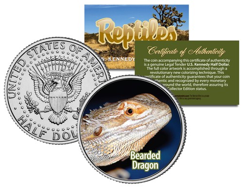 Bearded dragon collectible - dragon,