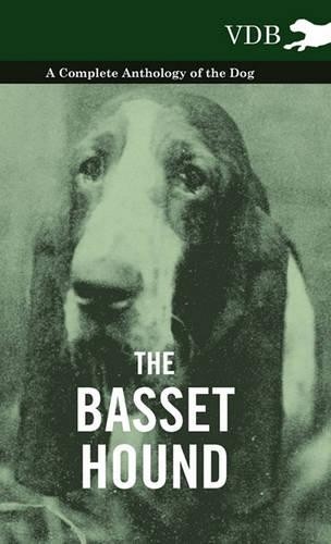 Various the basset hound - various,