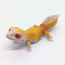 Bandai Gashapon Leopard Gecko 3.9in Deformed Figure Miniature Direct from Japan