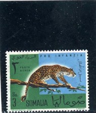 Somalia 1960 Scott# C72 mint