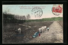 Old postcard Liancourt, Establissement Bajac, double brabant plough and harrow nut- 