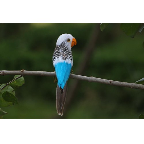 Oiseau artificiel plumes - oiseau, à