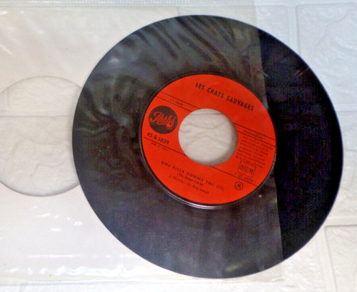 Vinyle 45t les - 45t, sauvages