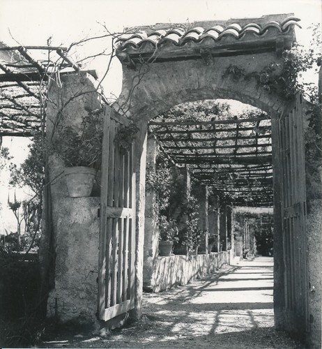 Nice 1935 cimiez pergola - nice, c.