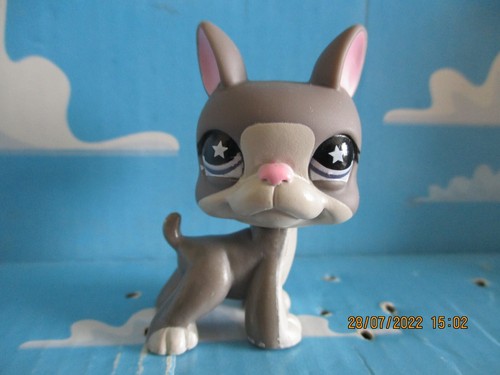 Petshop chien boston terrier - petshop,