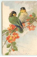 Illustrator - C. Klein - Two parakeets on a flowery branch