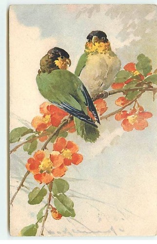 Illustrator klein two - -, c.