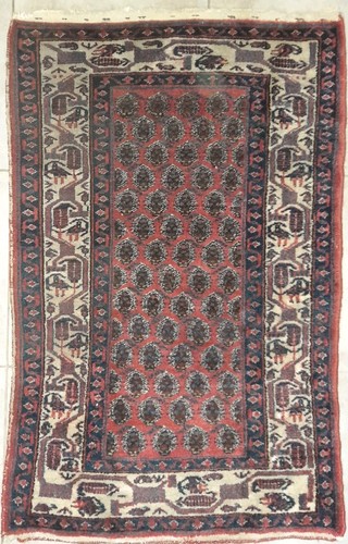 Superbe tapis semi - superbe,