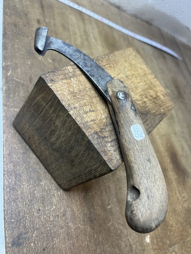 Rainette marquage forestier - rainette,