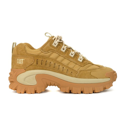 Caterpillar intruder apple - intruder,