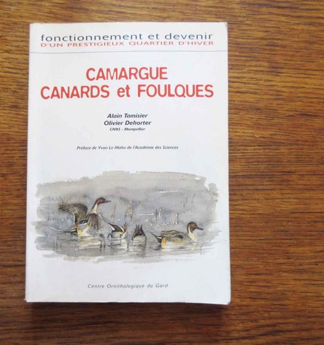 Ornithologie camargue canards - camargue,