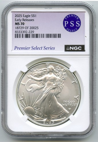 2025 american eagle - eagle, oz