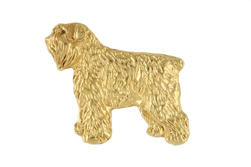 Chien traîneau flamand - chien, de