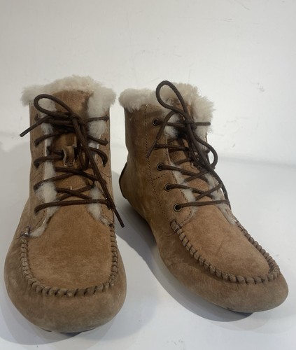 Ugg bottillons daim - bottillons, marron