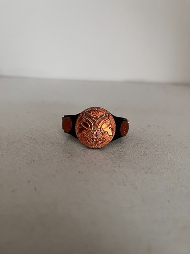 Wwe bronze undisputed equipe - wwe,