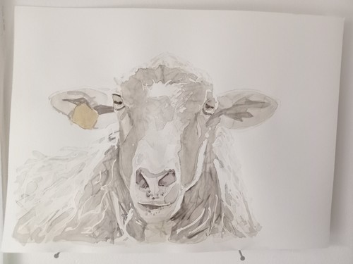 Sheep original watercolor - original,