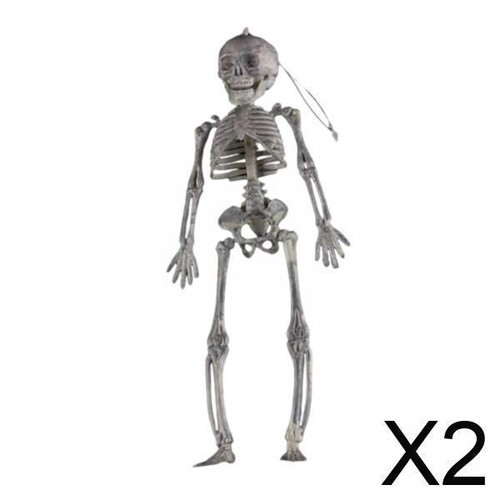 Squelette humain halloween - humain,