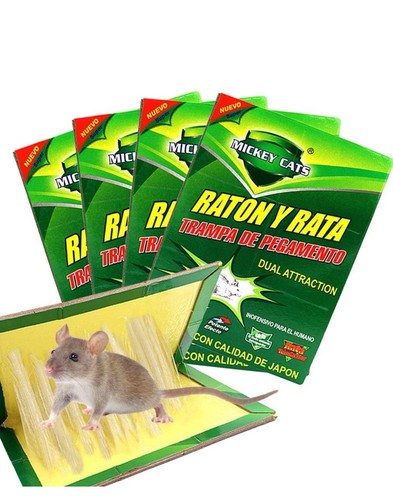 Plaques colle super - colle,