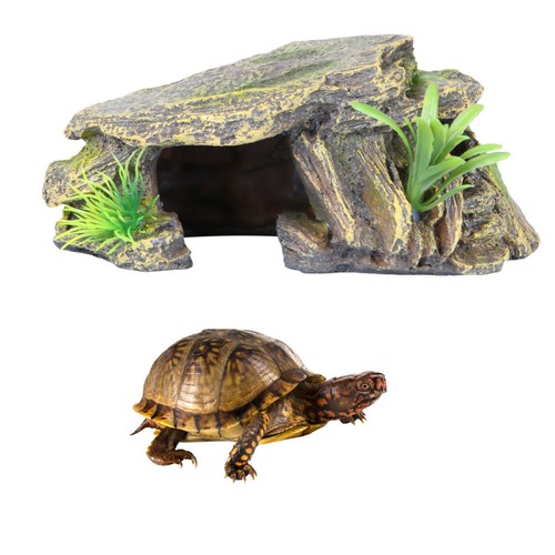 Accessoires pour reptiles - accessoires,