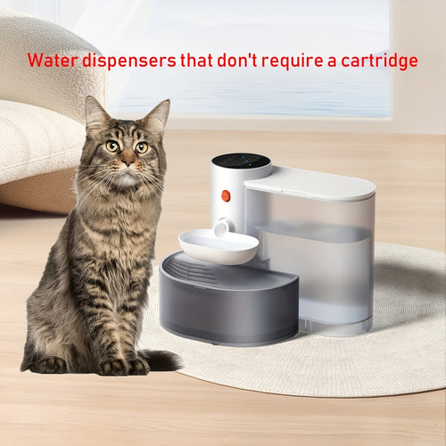 Fontaine eau pour chat - fontaine, à
