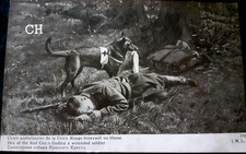 N °804/161    CPA Militaria Chien Ambulancier de la Croix Rouge   Non Ecrite