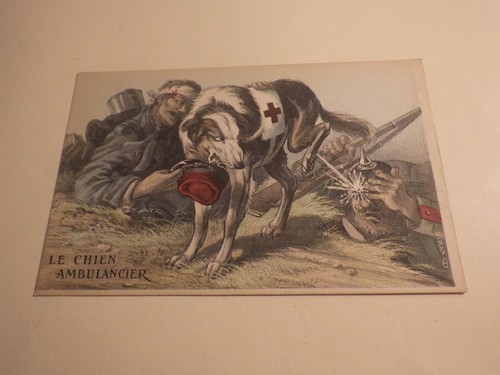 1916.Lesbounit.chien