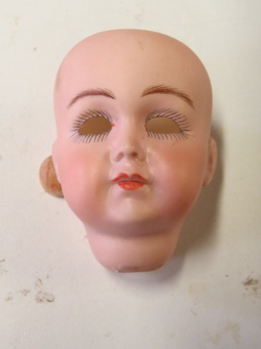 Tête seule reproduction de - tête,