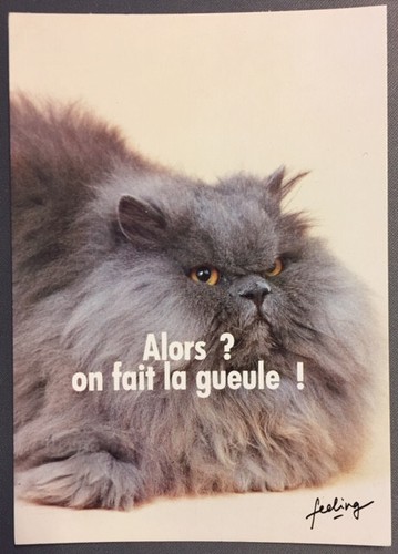 Carte postale humoristique - carte,