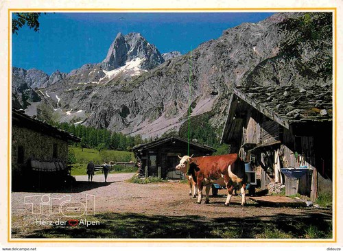 Carte postale animaux - -,