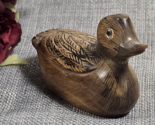 Joli petit canard bois - joli,