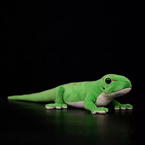 Simulation giant phelsuma - simulation,