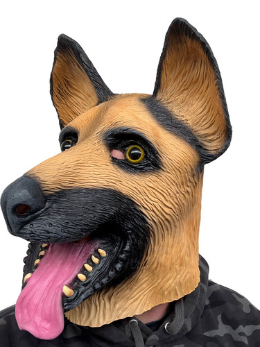 Allemand berger alsacien chien - allemand,