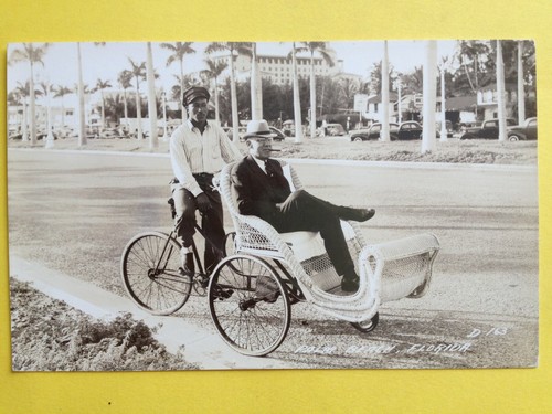 Postcard photo post card palm