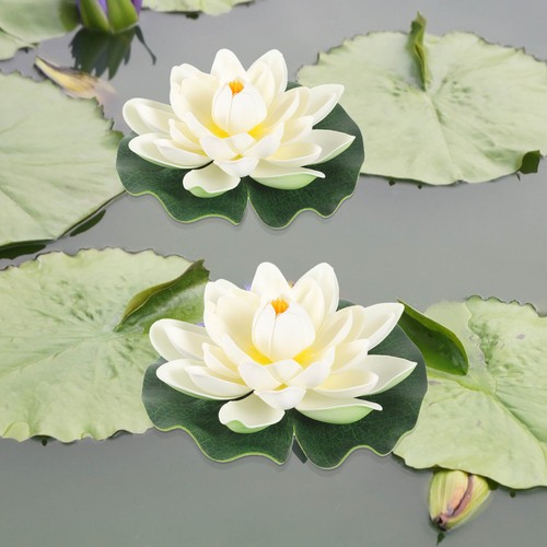 Plantes aquatiques fleurs - aquatiques,