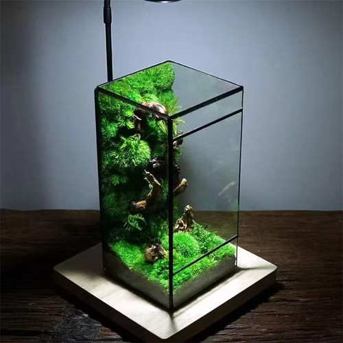 Mini rainforest glass - mini,