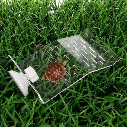 Accessoires pour aquarium - , de