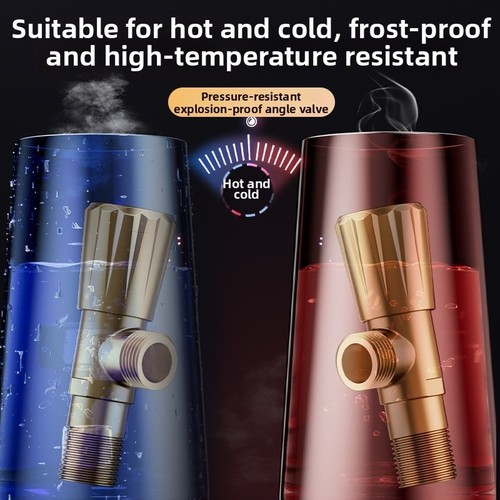 Vanne angle pour - vanne, acier