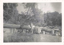 OLD GUIANA PHOTO ~1950 AROUND OYAPOCK CHILD "AT TABLE ON MISSION"