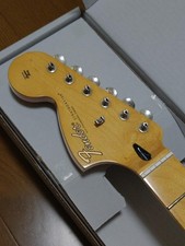 Fender MEX reverse slur