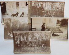 Lot x5 Photos, approx. 1910 (Ermenonville, Aumont-en-Halatte, hunting)