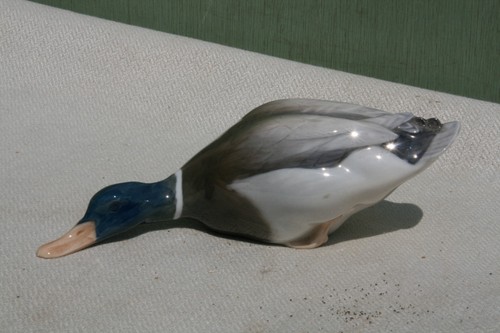Canard porcelaine royal - en,