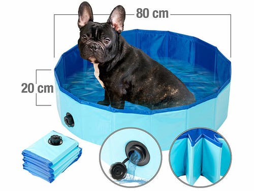Piscine pliable pour chiens