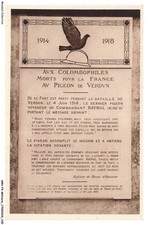 ARNP3-0187-MILITAIRE - avx