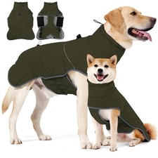 Manteau Chien Imperméable