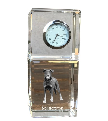 Berger beauce beauceron - de,