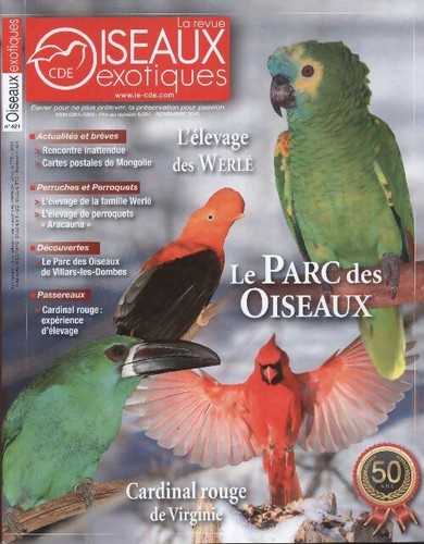 Oiseaux exotiques 421 - oiseaux, n°421