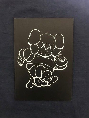 Kaws exposed portfolio colette - kaws,