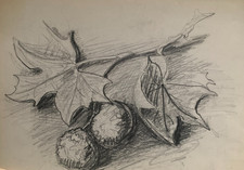 ELISABETH HAHN (1924-2021) 40