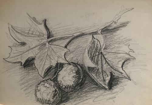 Elisabeth hahn 40 - elisabeth, (1924-2021)