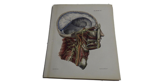 1850 lithographie couleur - .1850.lithographie,